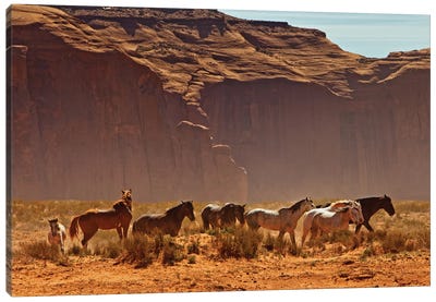Wild Horses In Southern Utah Canvas Art Print - Utah Art