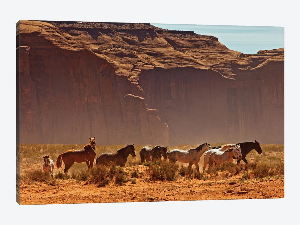 Wild Horses In Southern Utah by Susan Richey 1-piece Canvas Art Print