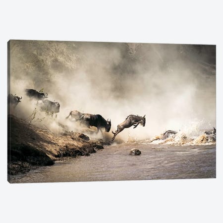 Wildebeest Leaping In Mid-Air Over Mara River Canvas Print #SMZ183} by Susan Richey Canvas Print