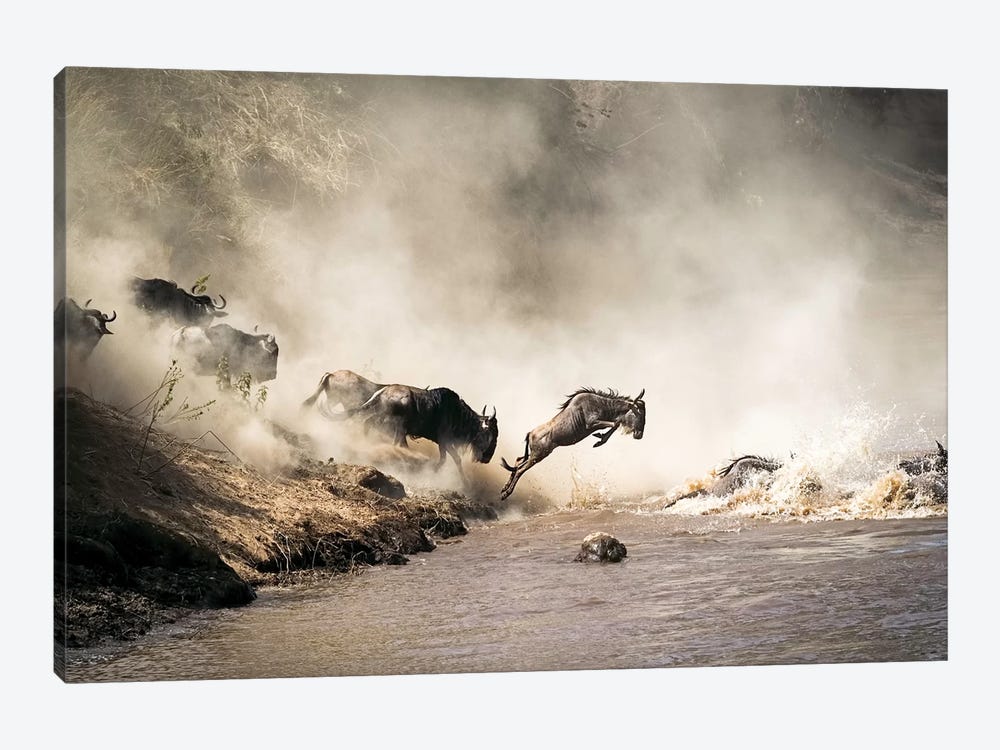 Wildebeest Leaping In Mid-Air Over Mara River by Susan Richey 1-piece Canvas Print