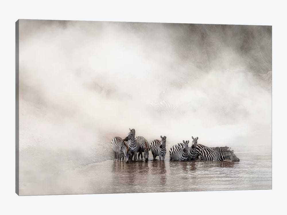 Zebra Drinking In The Mara by Susan Richey 1-piece Canvas Artwork