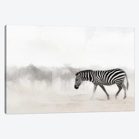 Zebra In Dust Of Africa III Canvas Print #SMZ189} by Susan Richey Art Print