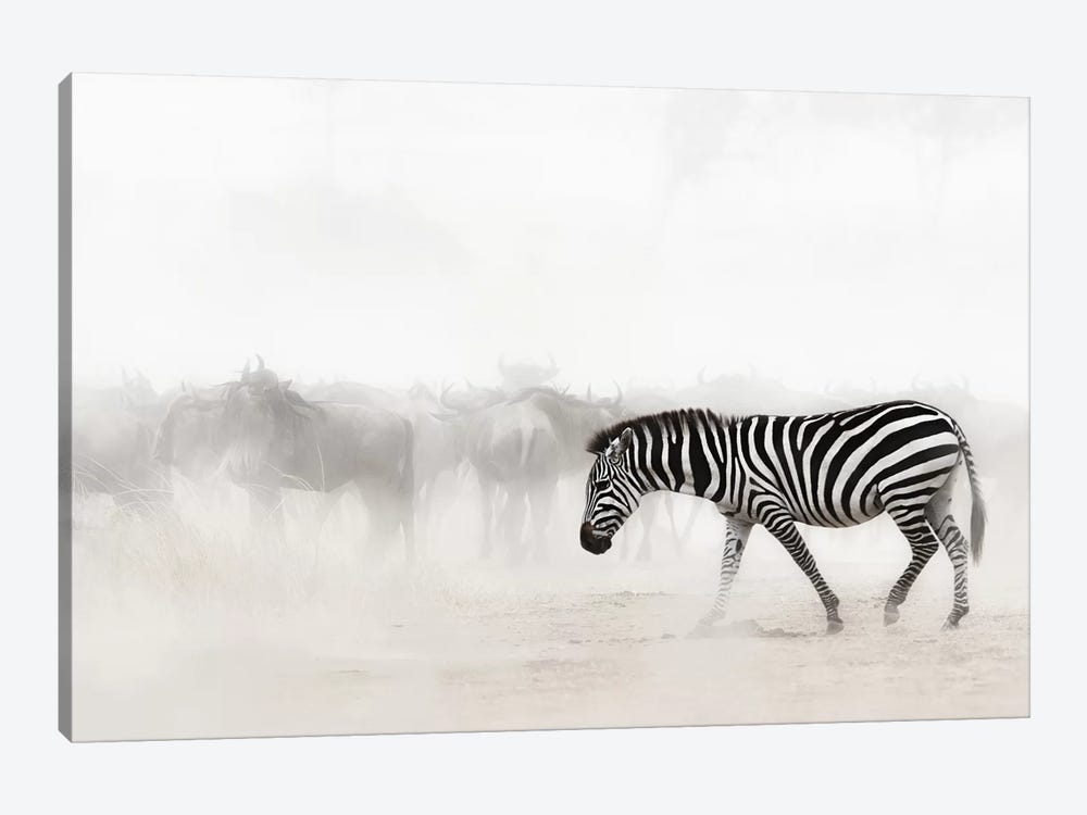 Zebra In Dust Of Africa III by Susan Richey 1-piece Canvas Art Print