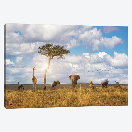 Safari Animals Looking Out Over The Land Canvas Print #SMZ193} by Susan Richey Canvas Art