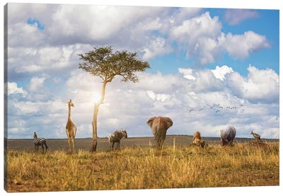 Safari Animals Looking Out Over The Land Canvas Art Print - Susan Richey