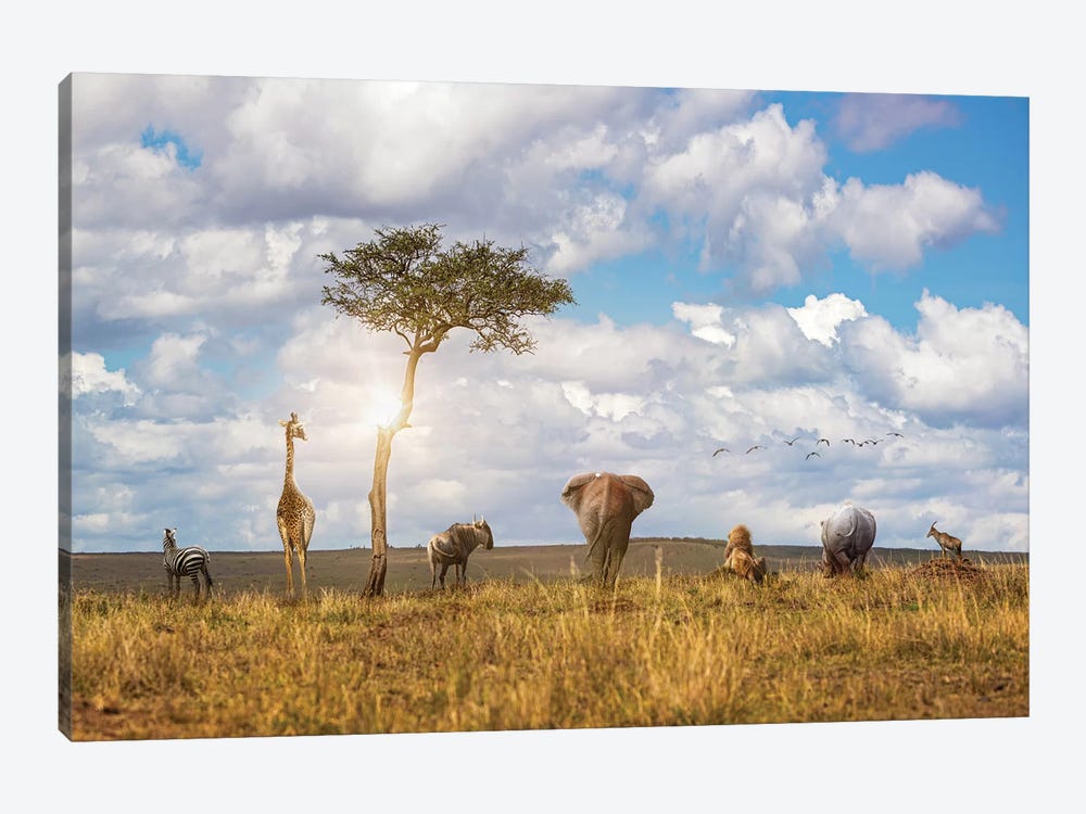 Safari Animals Looking Out Over The Land by Susan Richey 1-piece Canvas Art