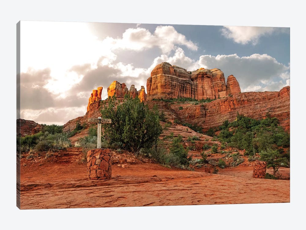 Cathedral Rock Hiking Trail In Sedona Arizona by Susan Richey 1-piece Art Print