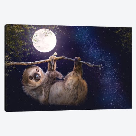 Cute Sloth Hanging On A Branch In Evening Canvas Print #SMZ195} by Susan Richey Canvas Art Print