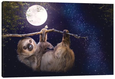 Cute Sloth Hanging On A Branch In Evening Canvas Art Print - Susan Richey