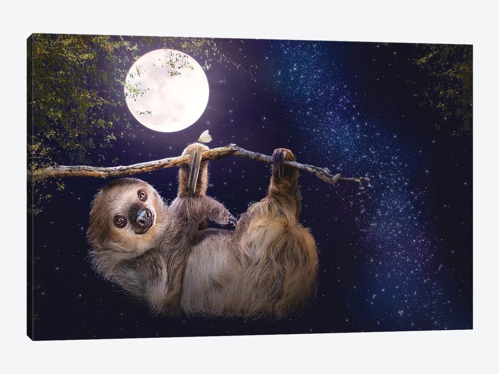 Cute Sloth Hanging On A Branch In Evening by Susan Richey 1-piece Canvas Artwork
