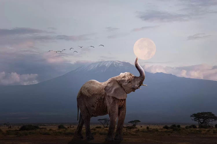 Elephant Holding Up Moon In Africa