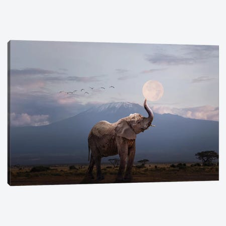 Elephant Holding Up Moon In Africa Canvas Print #SMZ196} by Susan Richey Art Print