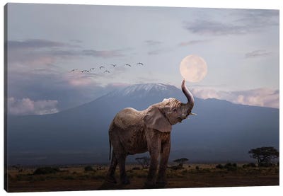 Elephant Holding Up Moon In Africa Canvas Art Print - Susan Richey