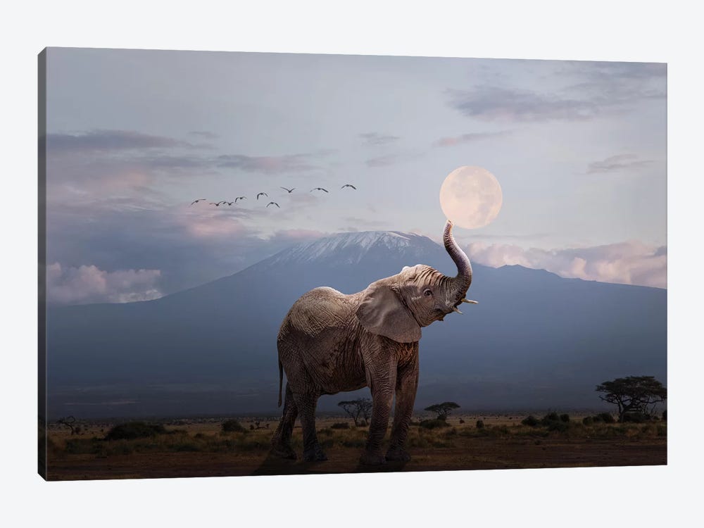 Elephant Holding Up Moon In Africa by Susan Richey 1-piece Art Print