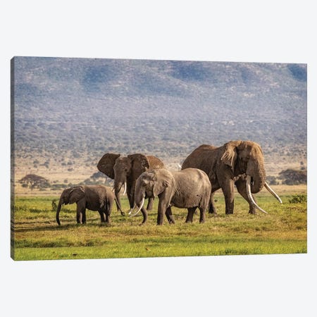 Elephant Family In Amboseli Kenya Canvas Print #SMZ198} by Susan Richey Canvas Art