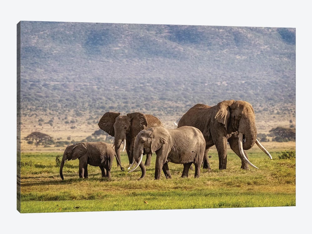 Elephant Family In Amboseli Kenya by Susan Richey 1-piece Art Print