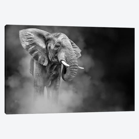 Large African Elephant In The Dust Canvas Print #SMZ212} by Susan Schmitz Canvas Art Print