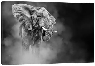 Large African Elephant In The Dust Canvas Art Print - Susan Richey