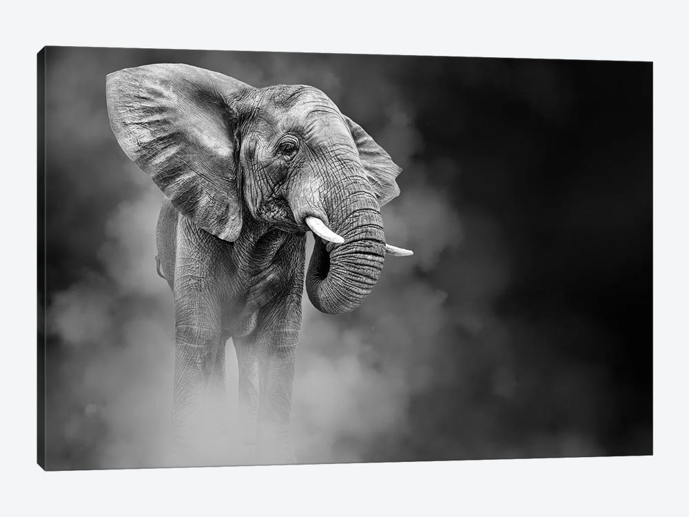 Large African Elephant In The Dust by Susan Richey 1-piece Art Print