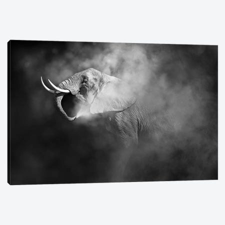 African Elephant Blowing Dust Canvas Print #SMZ213} by Susan Richey Canvas Print
