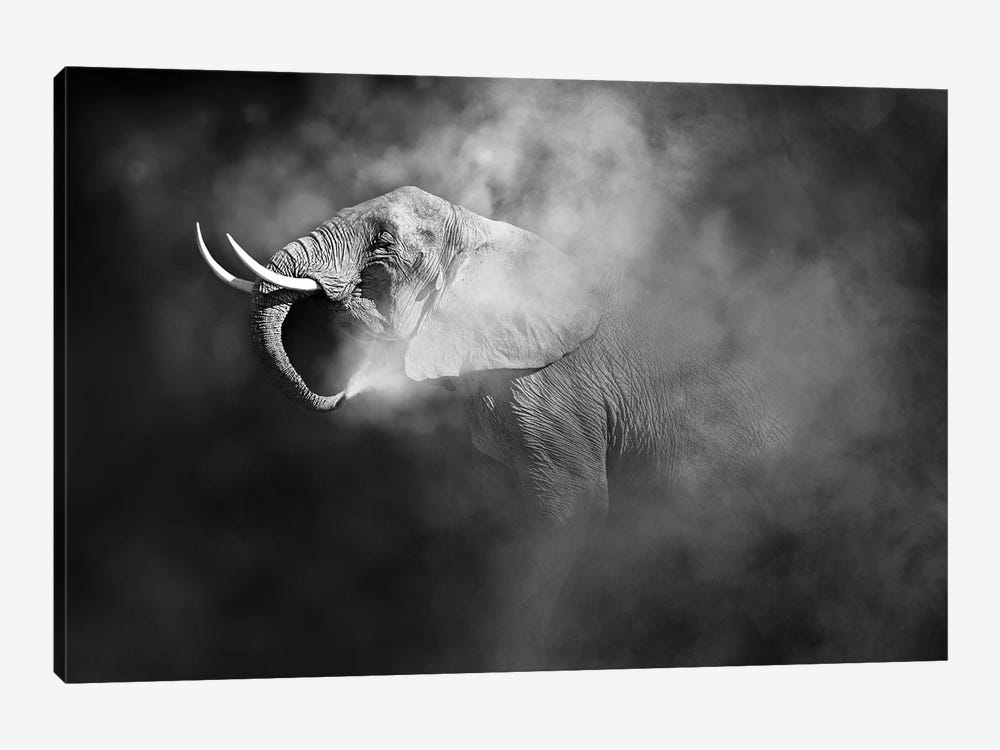 African Elephant Blowing Dust by Susan Richey 1-piece Canvas Wall Art