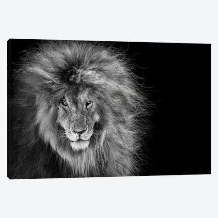 Scar The African Lion Legend Canvas Print #SMZ215} by Susan Richey Canvas Art