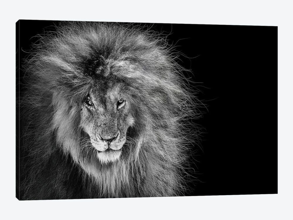 Scar The African Lion Legend by Susan Richey 1-piece Canvas Artwork