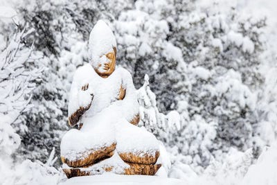 Stillness In The Snow Storm by Susan Richey canvas print