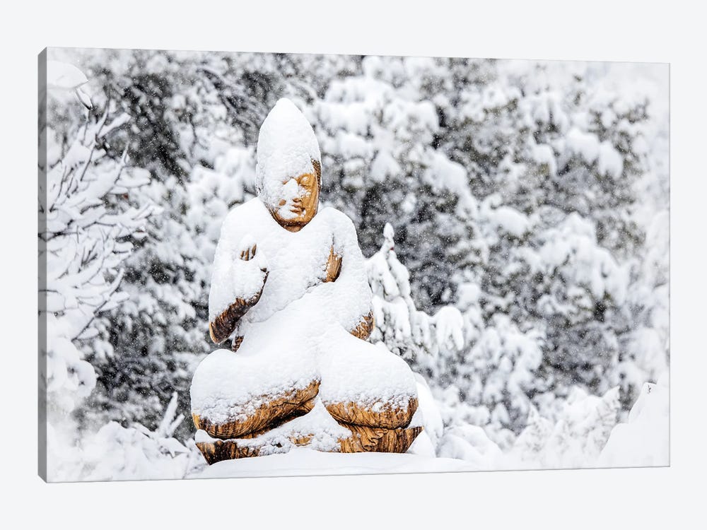 Stillness In The Snow Storm by Susan Richey 1-piece Art Print