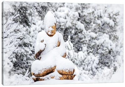 Stillness In The Snow Storm Canvas Art Print - Buddha