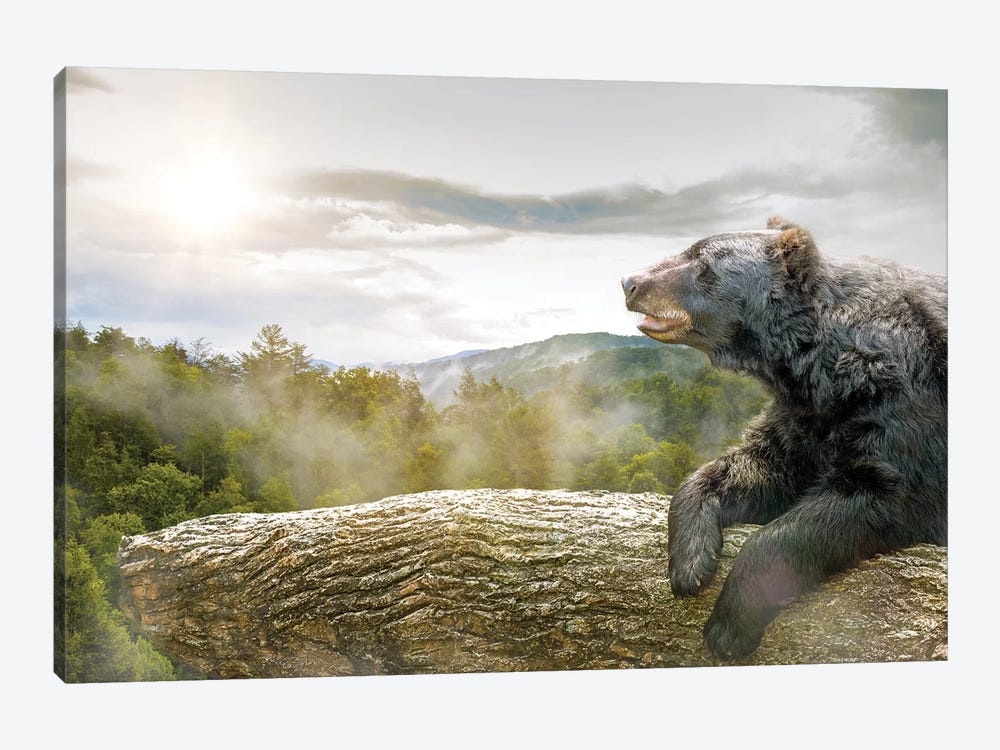 Bear In Tree At Smoky Mountains Park by Susan Richey 1-piece Canvas Print