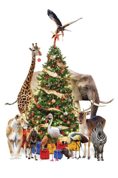 Zoo Animals Decorating A Christmas Tree