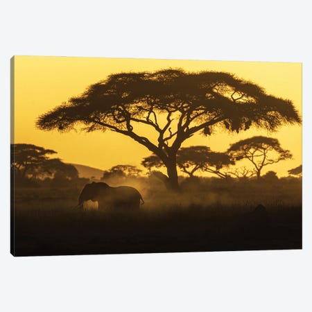 Silhouette Of Elephant Walking And Dusting At Sunset Canvas Print #SMZ224} by Susan Richey Canvas Print