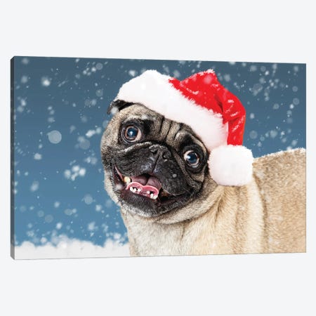 Christmas Pug Dog In The Snow Canvas Print #SMZ225} by Susan Schmitz Canvas Print