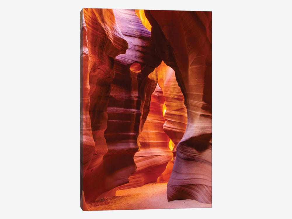 Bear Shape In Antelope Canyon by Susan Richey 1-piece Canvas Artwork