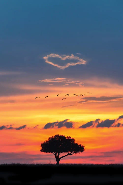 African Sunset With Heart In Clouds