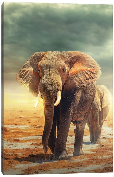 Amboseli Land Of The Elephants Canvas Art Print