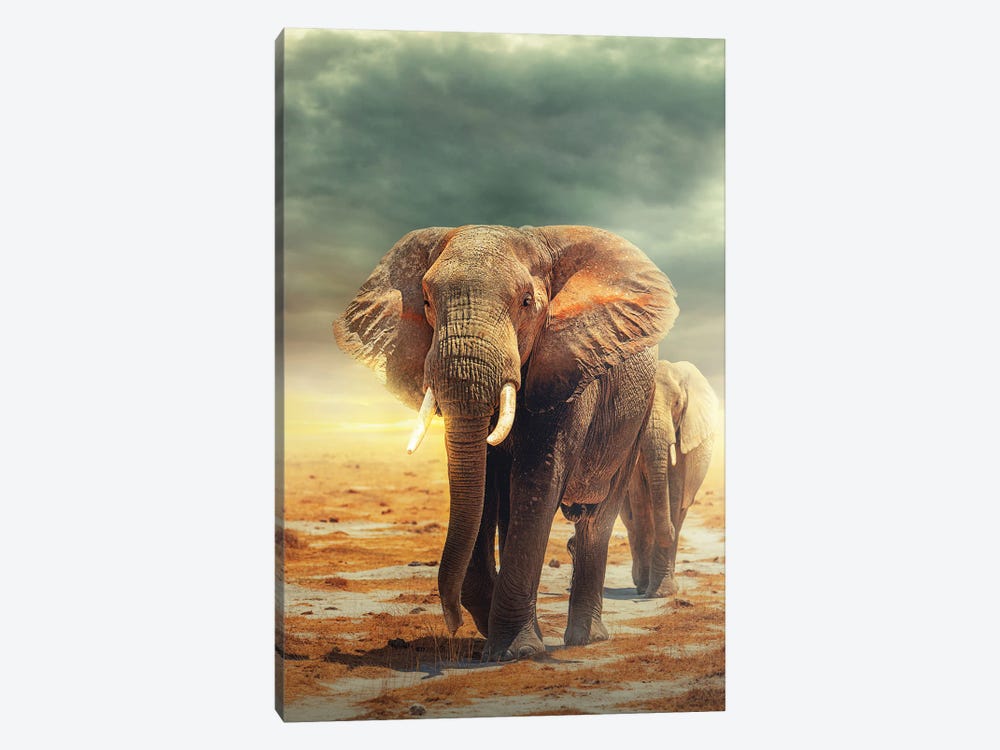 Amboseli Land Of The Elephants by Susan Richey 1-piece Canvas Art