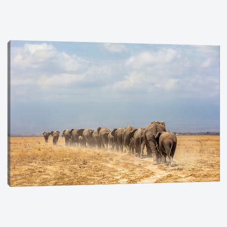 Line Of African Elephants Walking Away Canvas Print #SMZ241} by Susan Schmitz Canvas Art