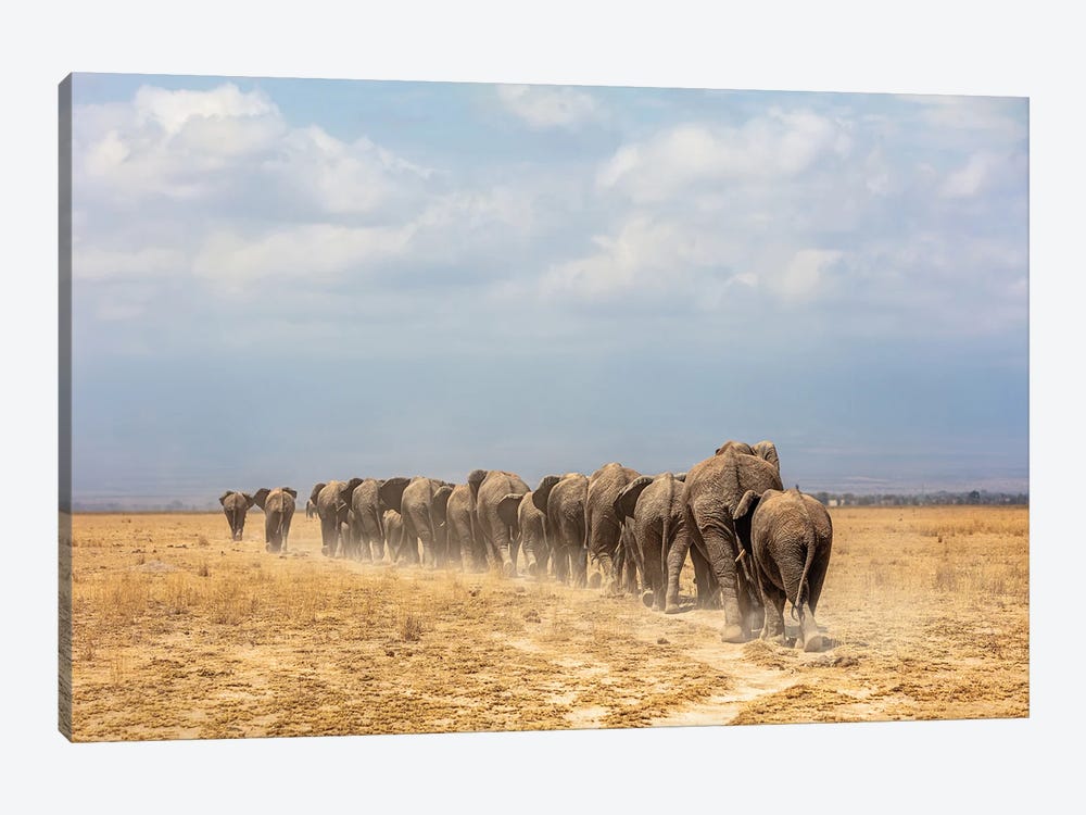 Line Of African Elephants Walking Away by Susan Richey 1-piece Canvas Print