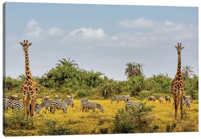 African Safari Animals In Kenya Canvas Art Print - Kenya