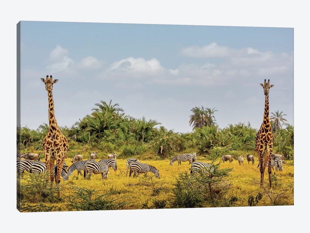 African Safari Animals In Kenya by Susan Richey 1-piece Canvas Artwork