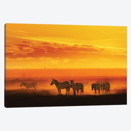 Zebra In Vibrant African Sunset Canvas Print #SMZ243} by Susan Richey Canvas Wall Art