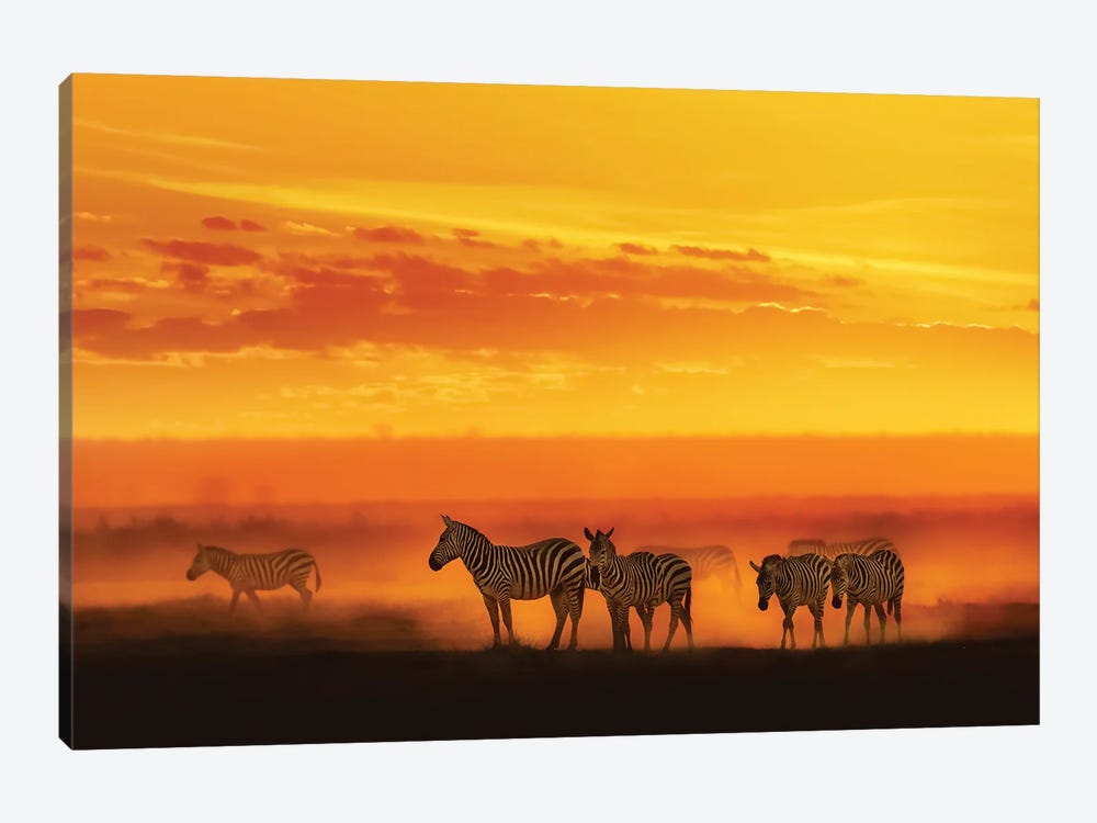 Zebra In Vibrant African Sunset by Susan Richey 1-piece Canvas Print