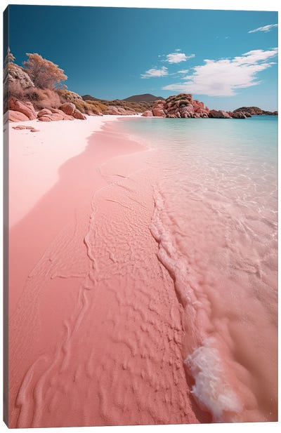 Peaceful Waves On A Pink Sand Beach Shore Canvas Art Print - Susan Richey