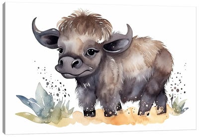 Cute Baby Buffalo Canvas Art Print - Susan Richey