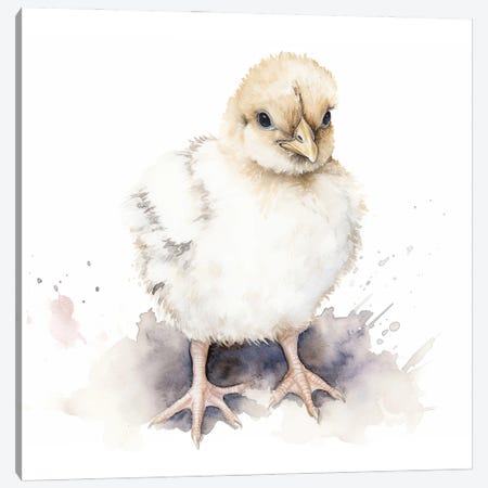 Cute Baby Chicken Canvas Print #SMZ252} by Susan Richey Canvas Print