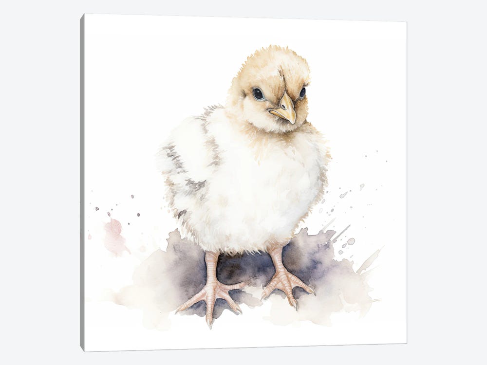 Cute Baby Chicken by Susan Richey 1-piece Canvas Art Print