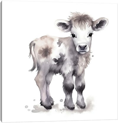 Cute Baby Cow Calf Canvas Art Print - Susan Richey