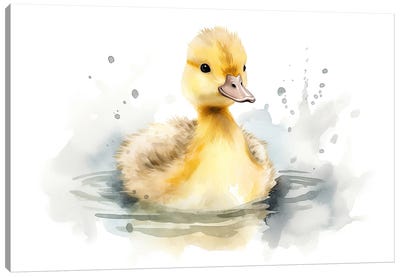 Cute Baby Duck Canvas Art Print - Duck Art